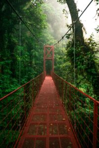 Red suspension bridge surrounded by lush green forest in Monteverde, Costa Rica.