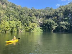 2D22C507-BCB8-4833-9575-163767C16EFF_1_105_c