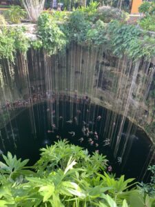 3873DA67-8D15-41F6-9BFF-8B19DA3B6353_1_105_c