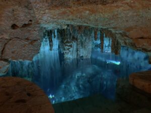 91E6EE76-F562-4832-B729-AD91E9D7C9A6_1_105_c