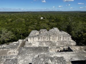 991F35C9-A16A-4BA6-8F9B-456854B17900_1_105_c