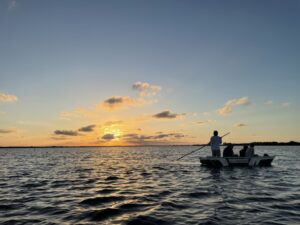 A12EE37C-EC71-4270-8D03-ED2D28B53265_1_105_c