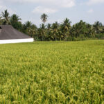 Bali Oktoober 2014 -308